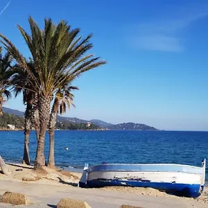 Avec Terrasse 2 Personnes Appartement Le Lavandou